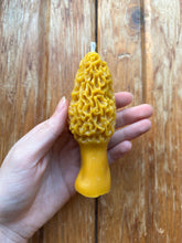 Load image into Gallery viewer, Morel Mushroom Beeswax Candle Large
